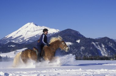 Auf Pferden durch den Schnee galopieren, © Mostviertel Tourismus, weinfranz.at