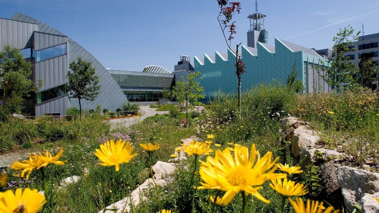 Museum Niederösterreich - Garten, © NÖ Museum Betriebs GmbH/Helmut Lackinger