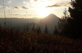 Blick in Richtung Ötscher, © Veronika Griessl