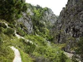 Schlucht - Hintere Tormäuer, © Mostviertel