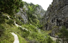 Schlucht - Hintere Tormäuer, © Mostviertel