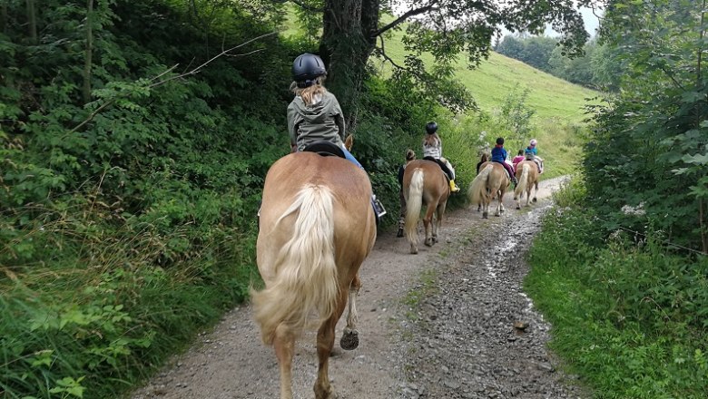 Schnupperreiten Bodenhof, © Roman Zöchlinger